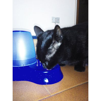 Fresca e pulita