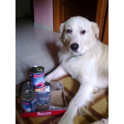 Rocco classic e Toby