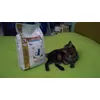 Peso del gatto uguale al peso del pacco