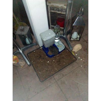 Igelstation