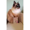 HERMI