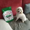 Sano y feliz