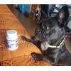 A lola le encanta su condoprotector