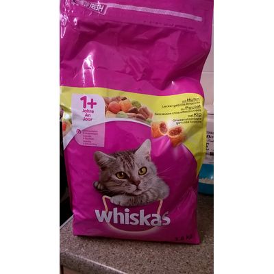Chicken