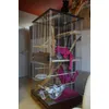 Skyline Loretto XL