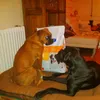 Luca  y Cala
