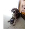 Producto excelente