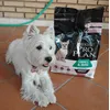 Sabe que es su comida