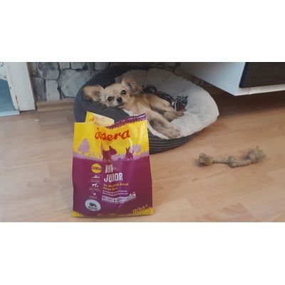 Das beste futter