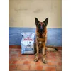 Royal Canin e Riss