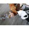 The boss eat first