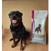 Only Top for my super Rott