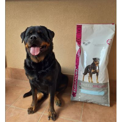 Only Top for my super Rott