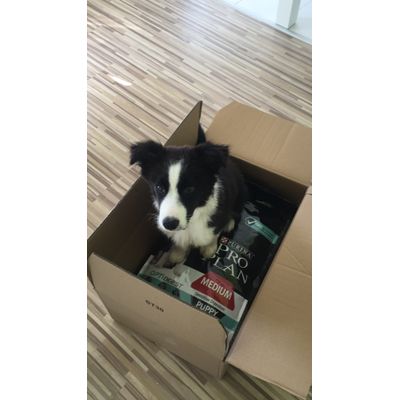 Max