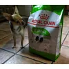 mi comida favorita no la cambio por nada