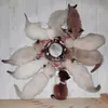 Katzen Happy 