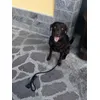 Ugo a spasso