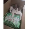 Mi gato feliz