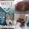 Soft kibble and nice scent