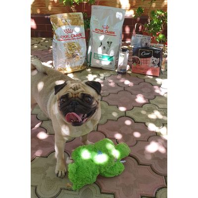 Riina