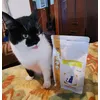 mimi