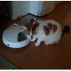 Catmate