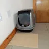 Potty
