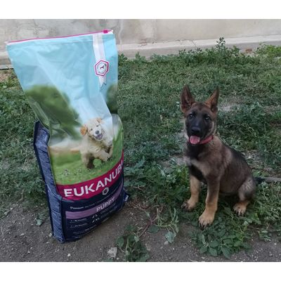 szuper