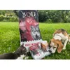 Maravilla para Perros Selectivos