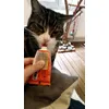 Plaisir gourmand 