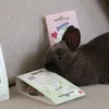 Poppy approves it