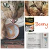 Benny rescatado con inmuno