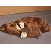 Ben in Rudolf