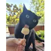 Luna liebt ihr Animonda-Eis