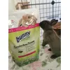 Poppy and her new pellets