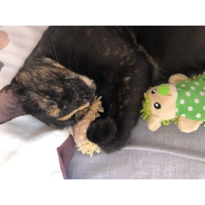 Sleeping