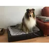 Earl im Schlaraffenland