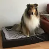Earl im Schlaraffenland