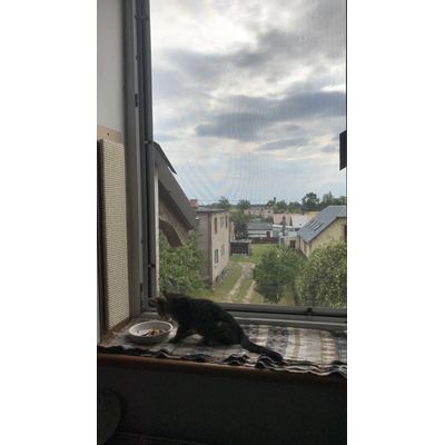 Zadowolona