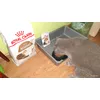 LILY Royal Canin Ageing 12