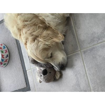 Doudou