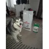 Maluka and her new bag of food