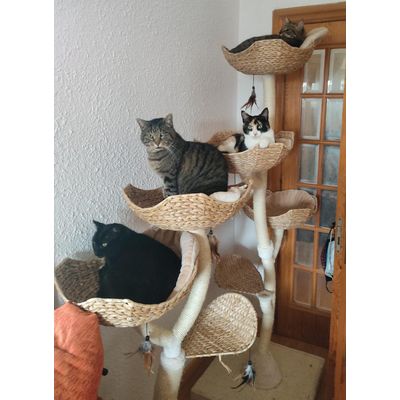 Mi familia