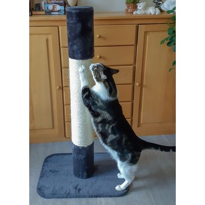 Lucky Luke blij met cadeau