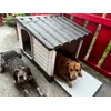 Dogvilla110