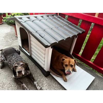 Dogvilla110