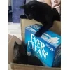 Meine Katzen sind sehr zufrieden 