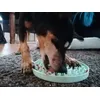Olli liebt die Platte jeden Abend zum Abendbrot 