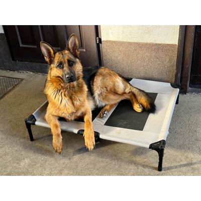 Relax kutyafekhely