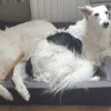 sharing with friends